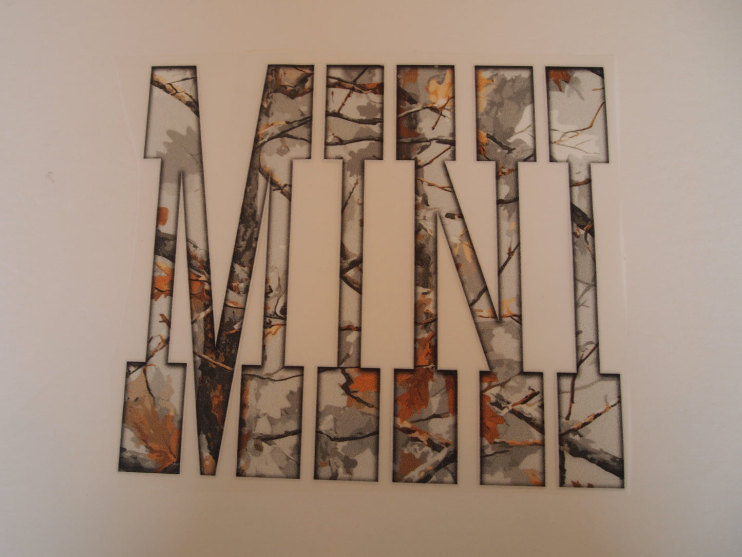 12-Mini, Youth