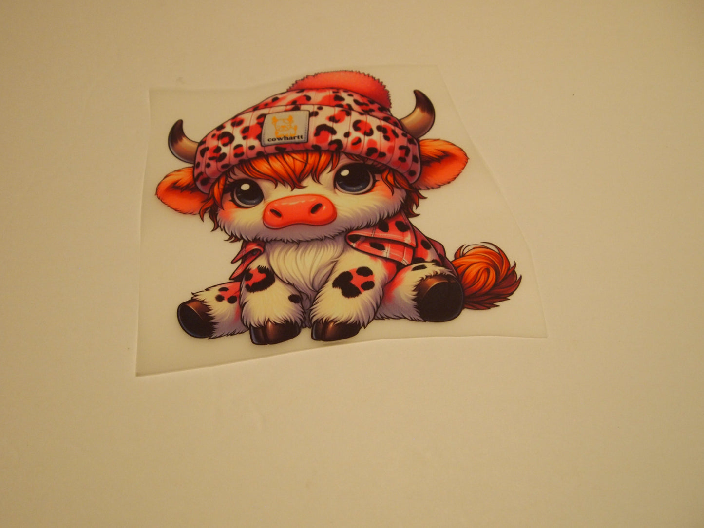 61-Highland Cow, Youth