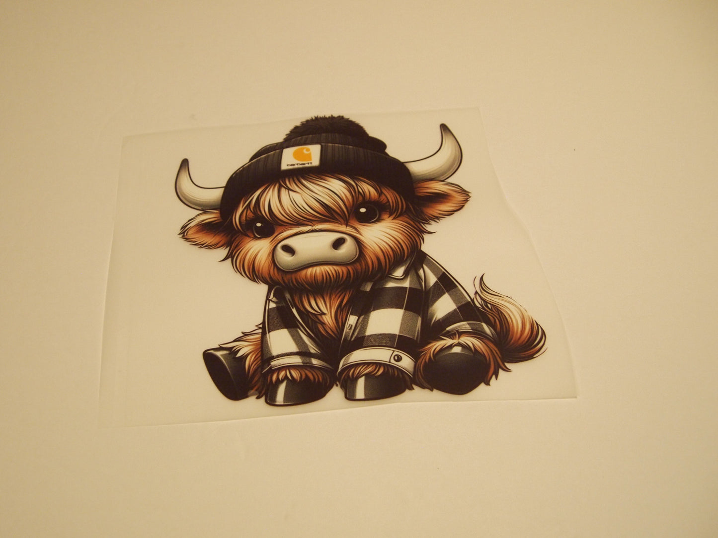 63_Highland Cow, Youth