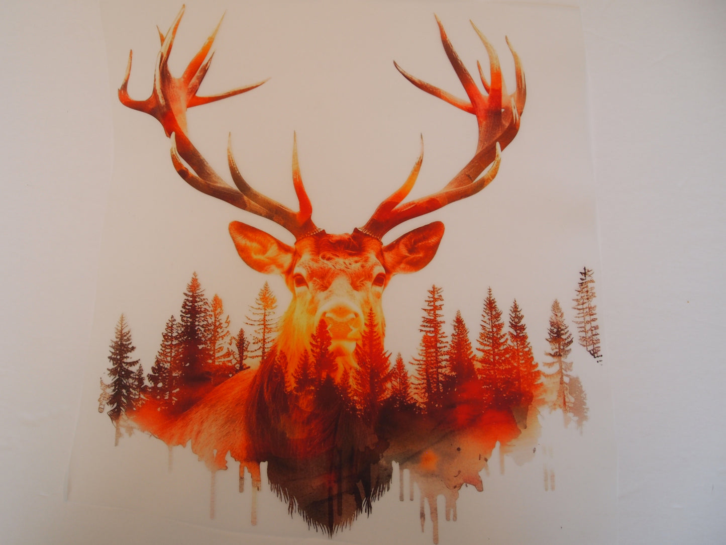 Design Transfer