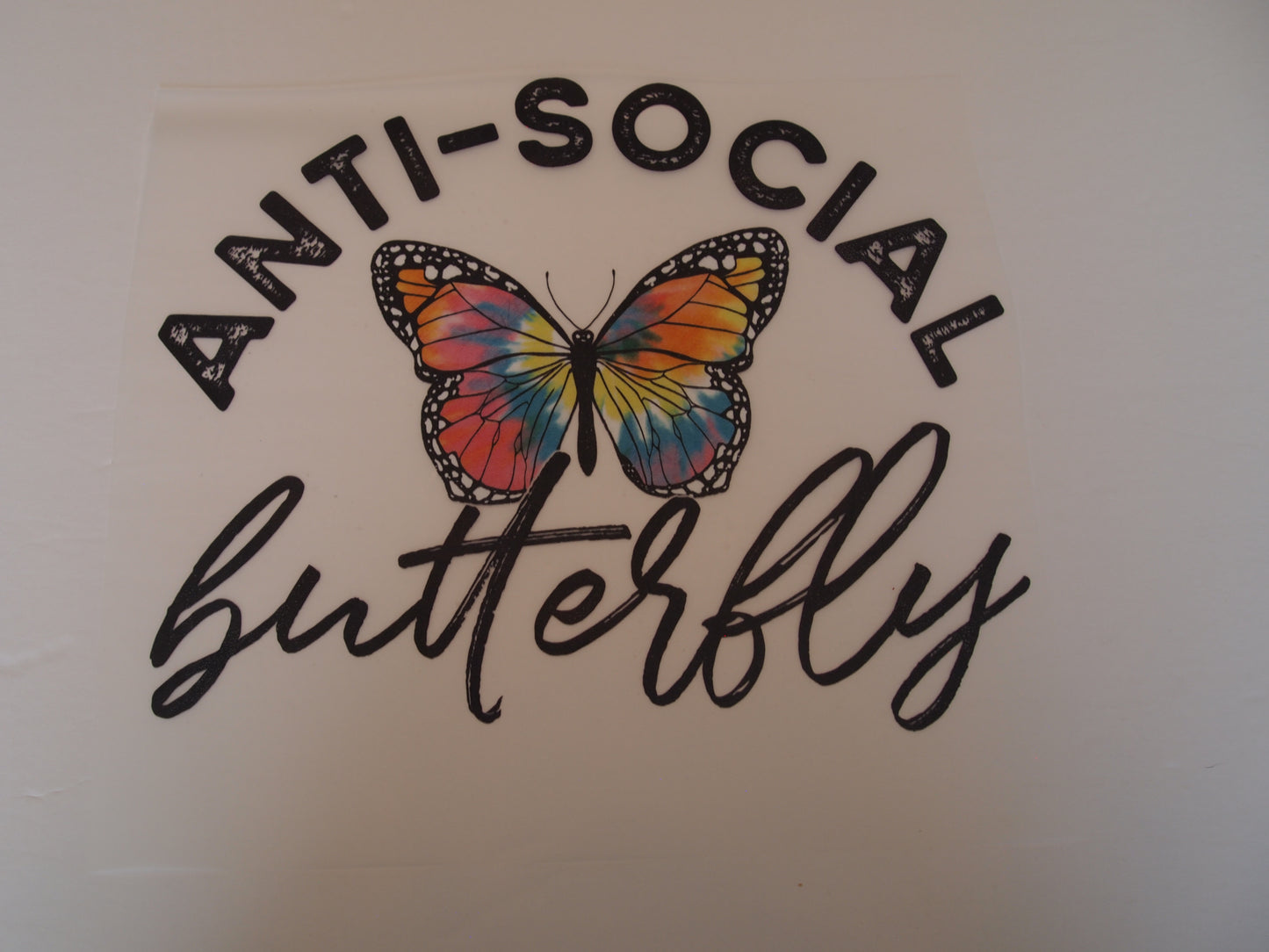 Anti-social butterfly with butterfly