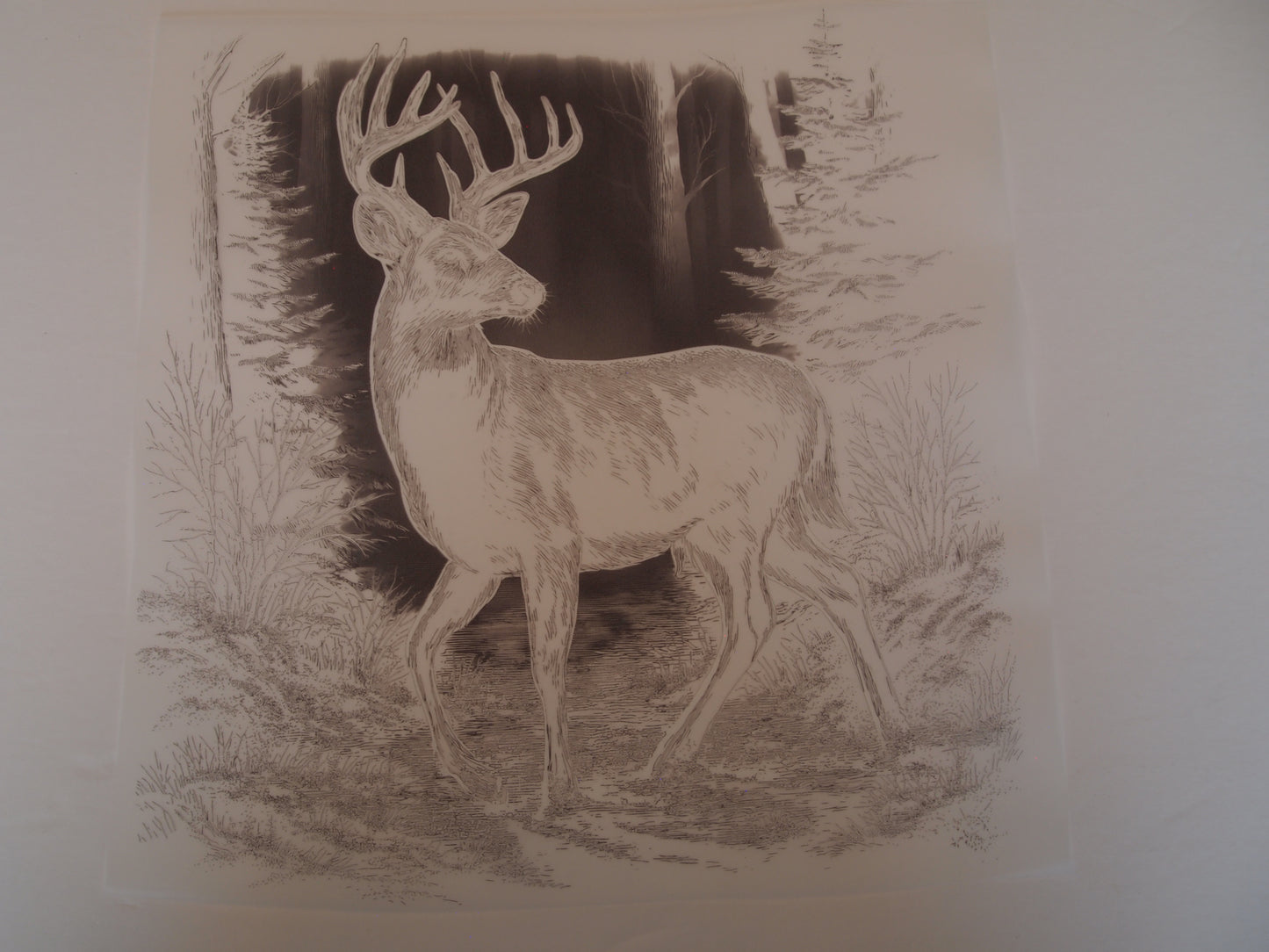 Black out deer