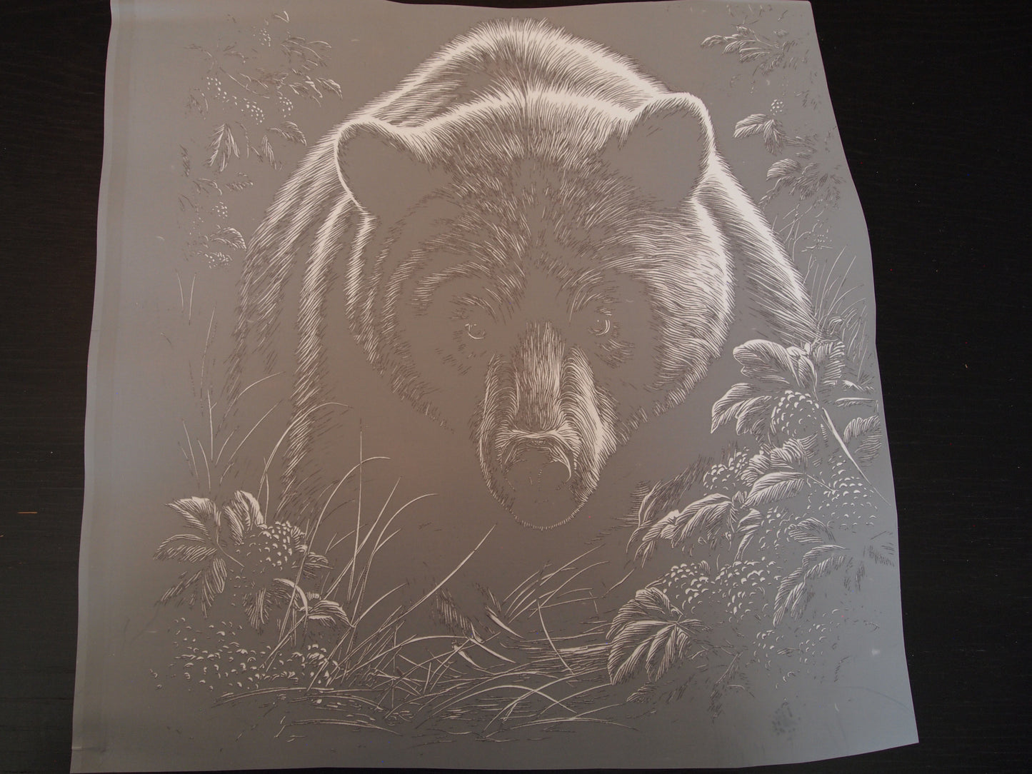 Blackout bear