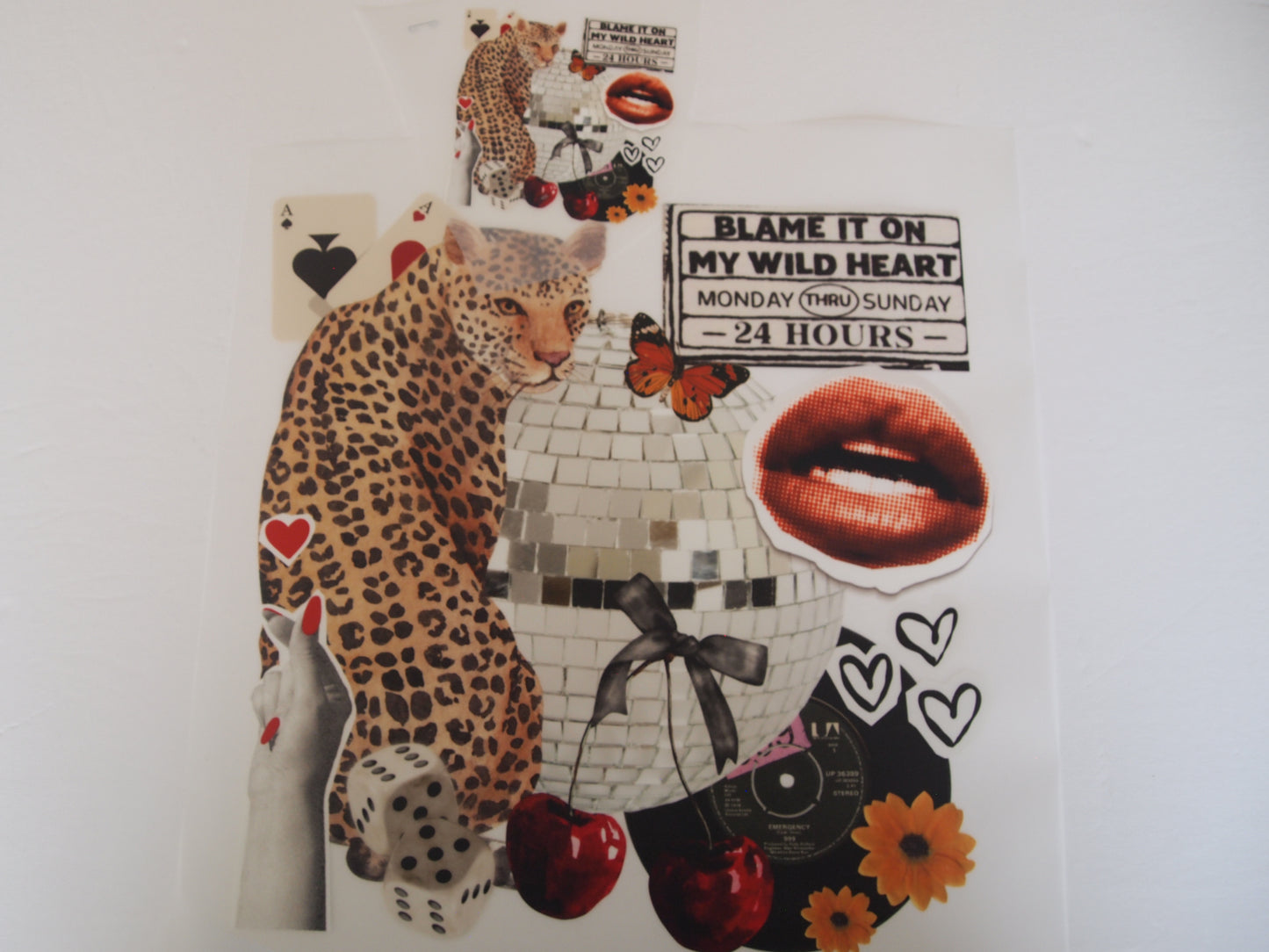 Leopard, etc