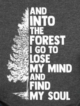 88S-AND INTO THE FOREST...
