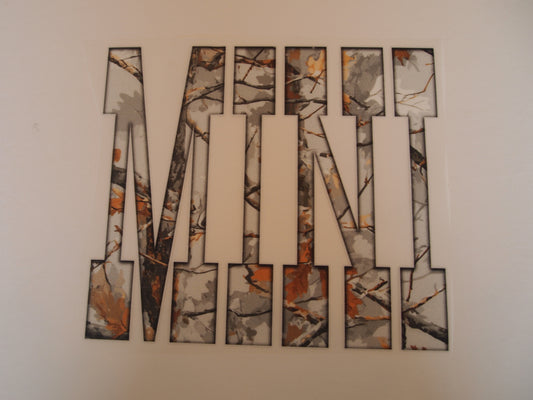 12-Mini, Youth