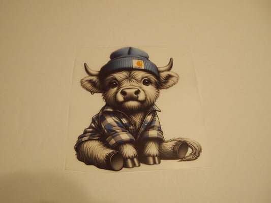 58- Highland Cow, Youth