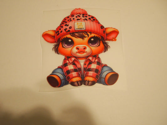 59-Highland Cow, Youth