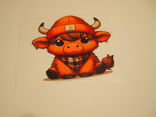 60-Highland Cow, Youth