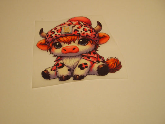61-Highland Cow, Youth