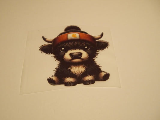 62_Highland Cow, Youth