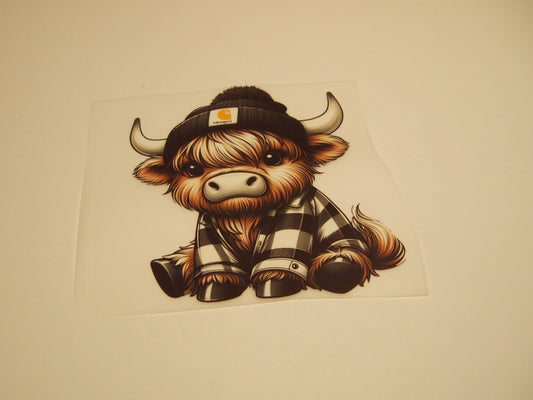 63_Highland Cow, Youth