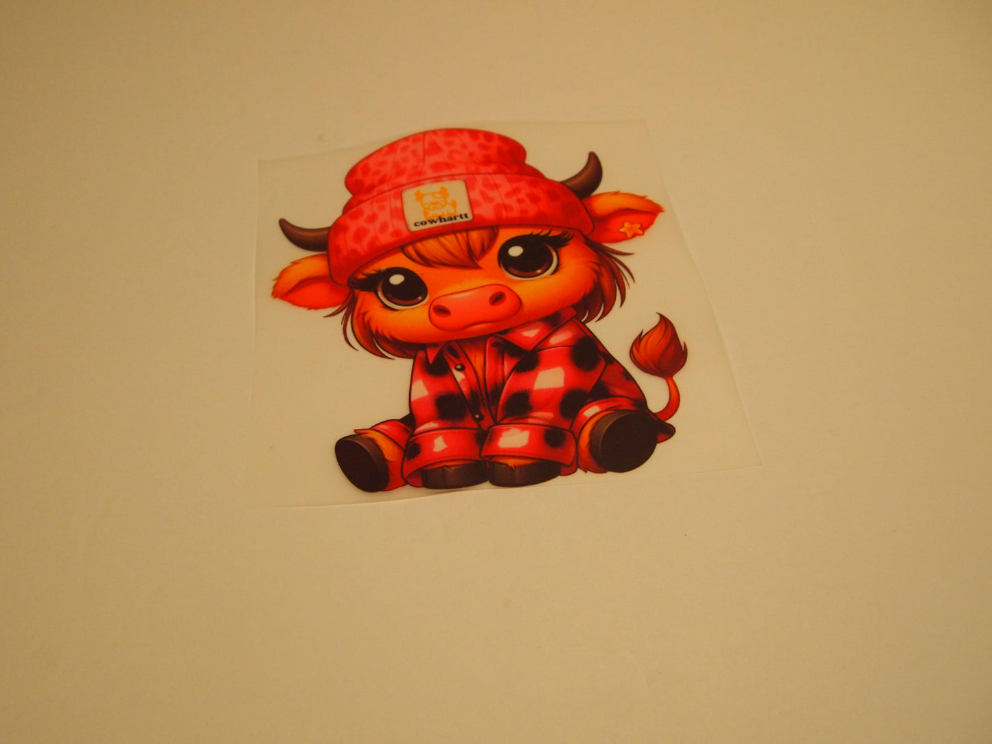 64_Highland Cow, Youth
