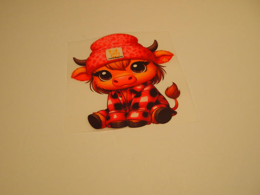 64_Highland Cow, Youth