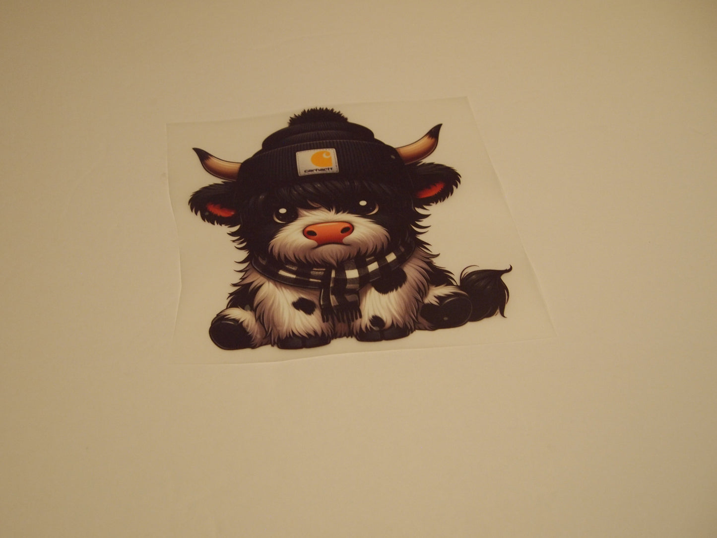 65_Highland Cow, Youth