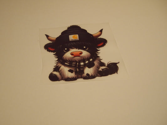 65_Highland Cow, Youth