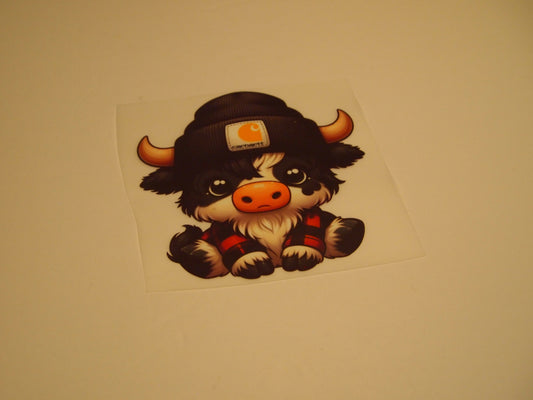 66_Highland Cow, Youth