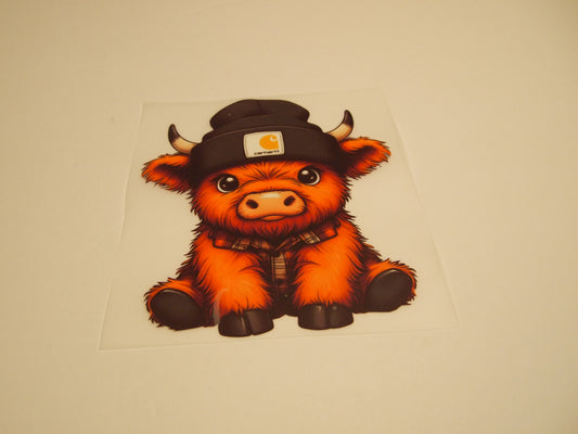 67_Highland Cow, Youth