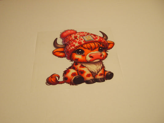 68_Highland Cow, Youth