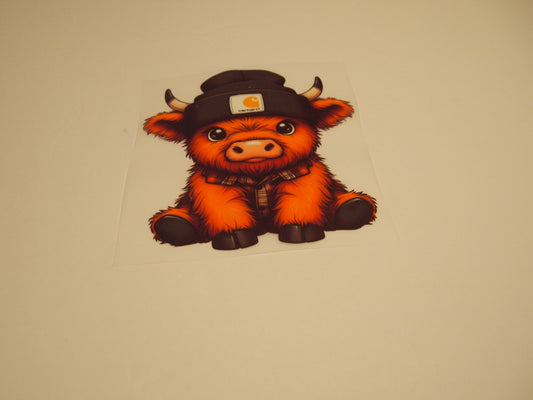 69_Highland Cow, Youth