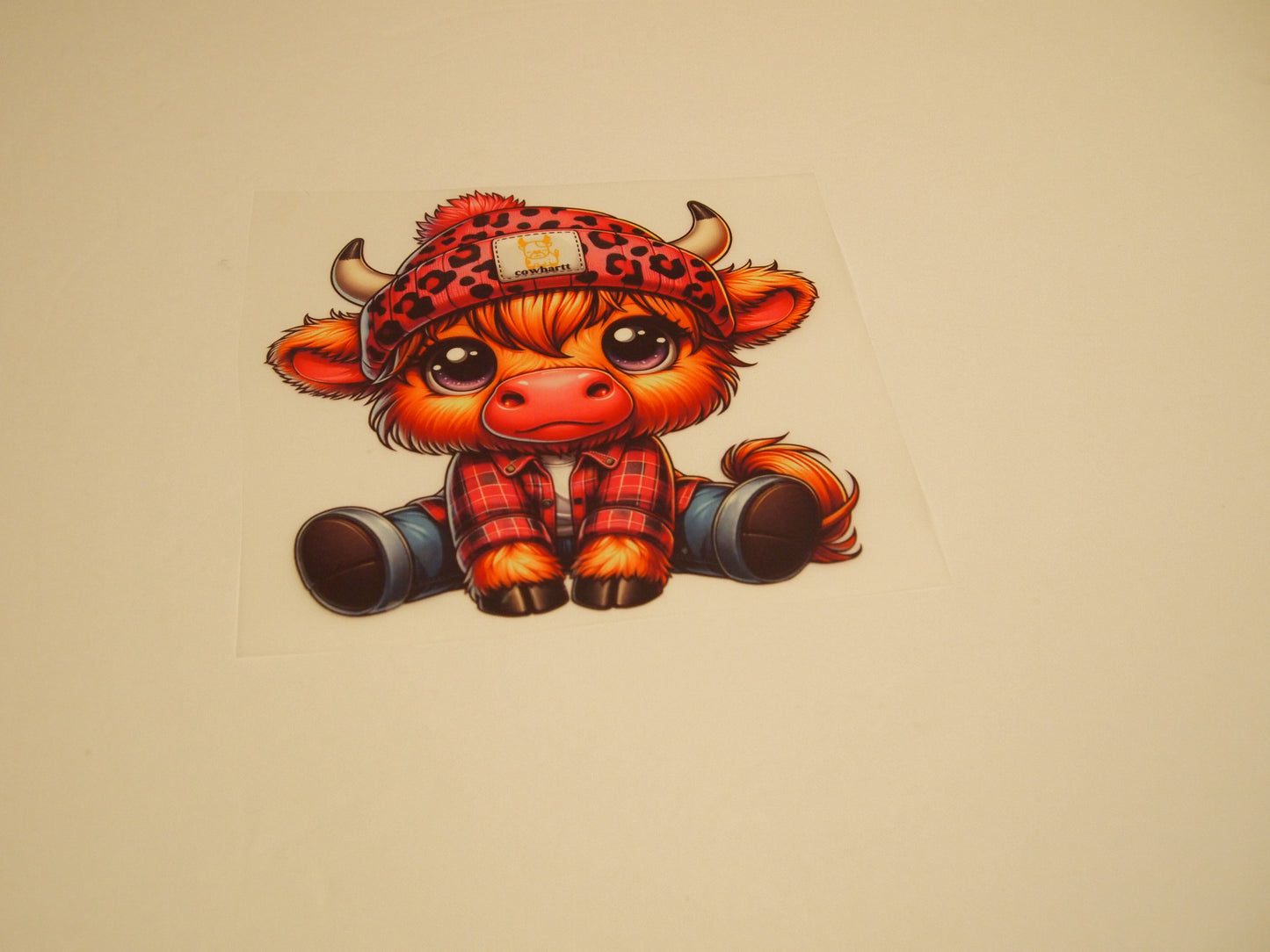 70_Highland Cow, Youth