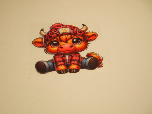 70_Highland Cow, Youth