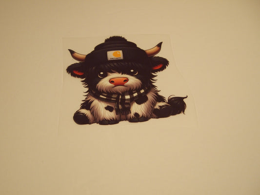 71_Highland Cow, Youth