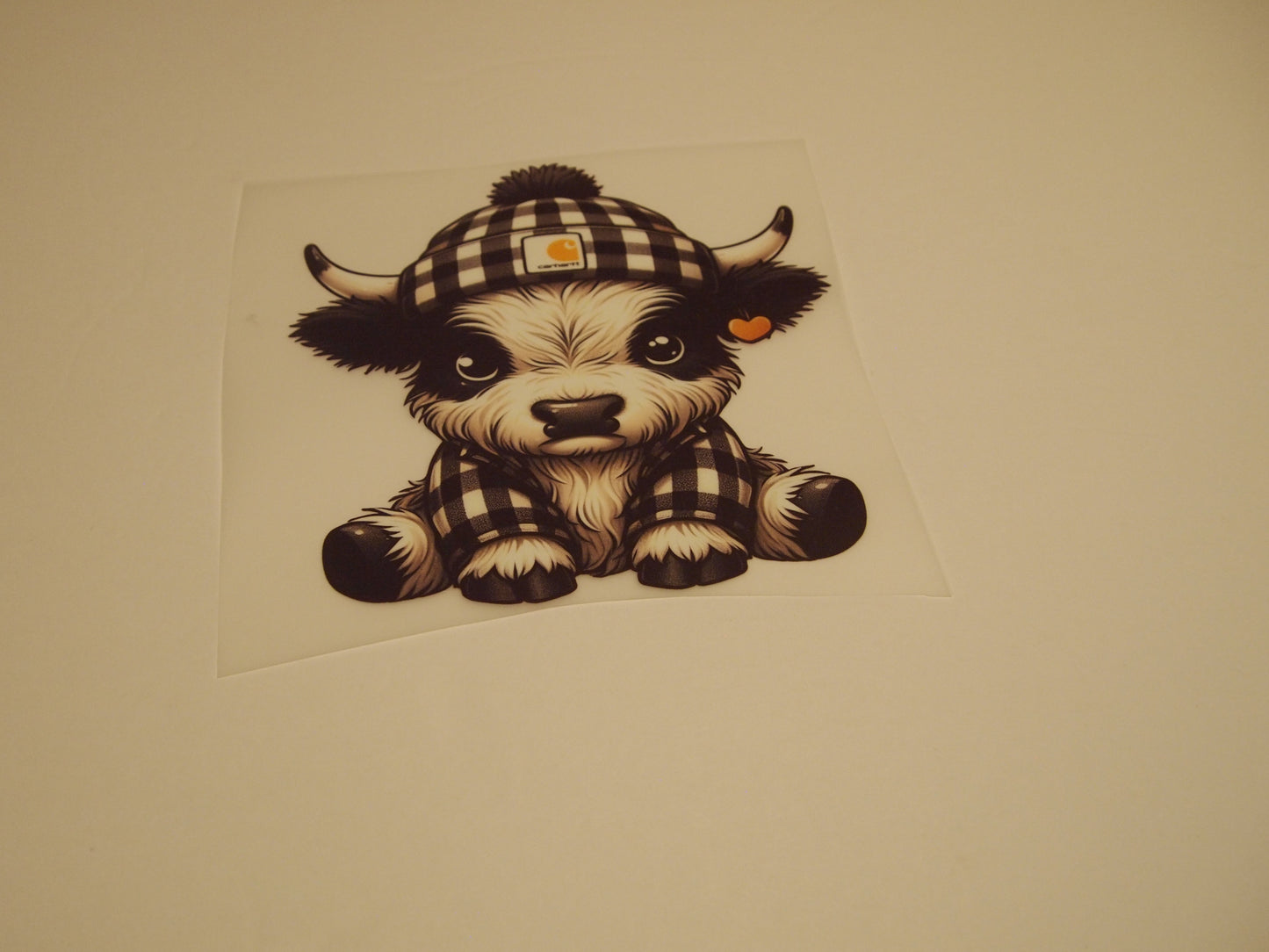 72_Highland Cow, Youth