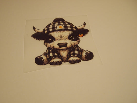 72_Highland Cow, Youth