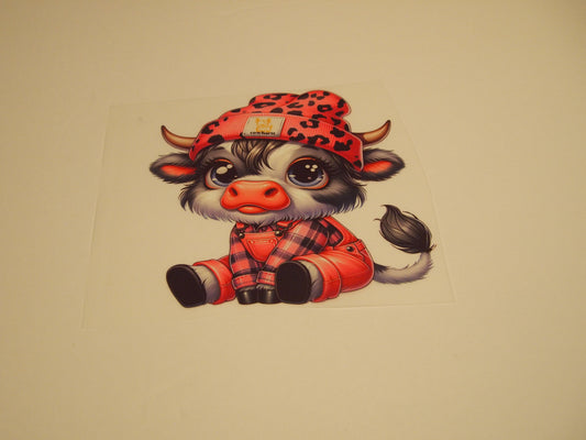 73_Highland Cow, Youth