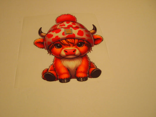 74_Highland Cow, Youth