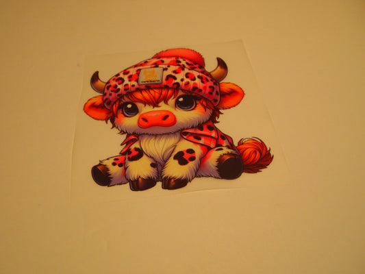 77_Highland Cow, Youth