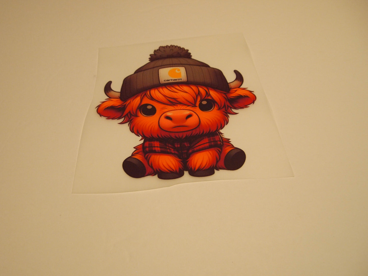 78_Highland Cow, Youth