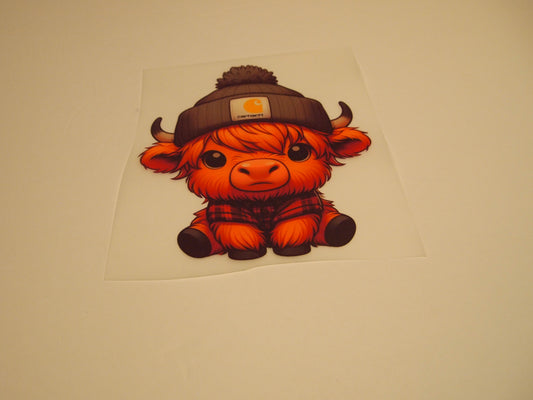 78_Highland Cow, Youth