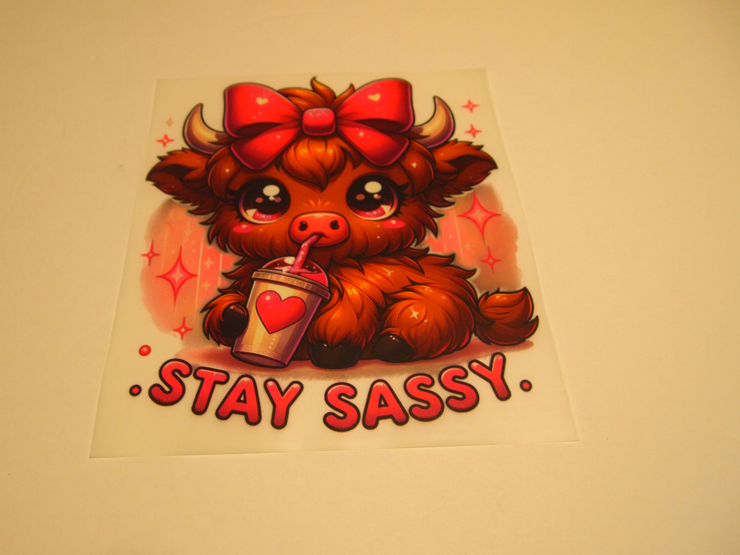 83_Stay Sassy_Youth