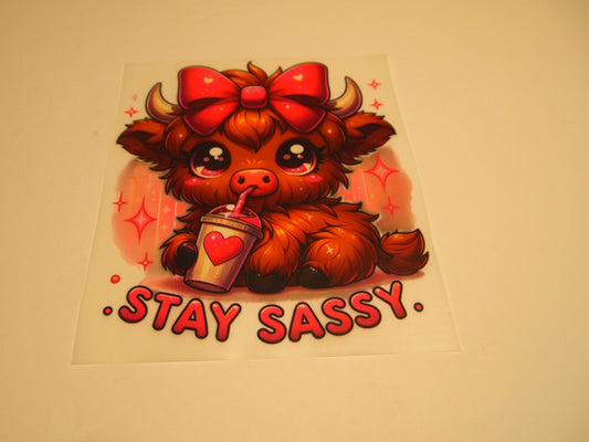 83_Stay Sassy_Youth