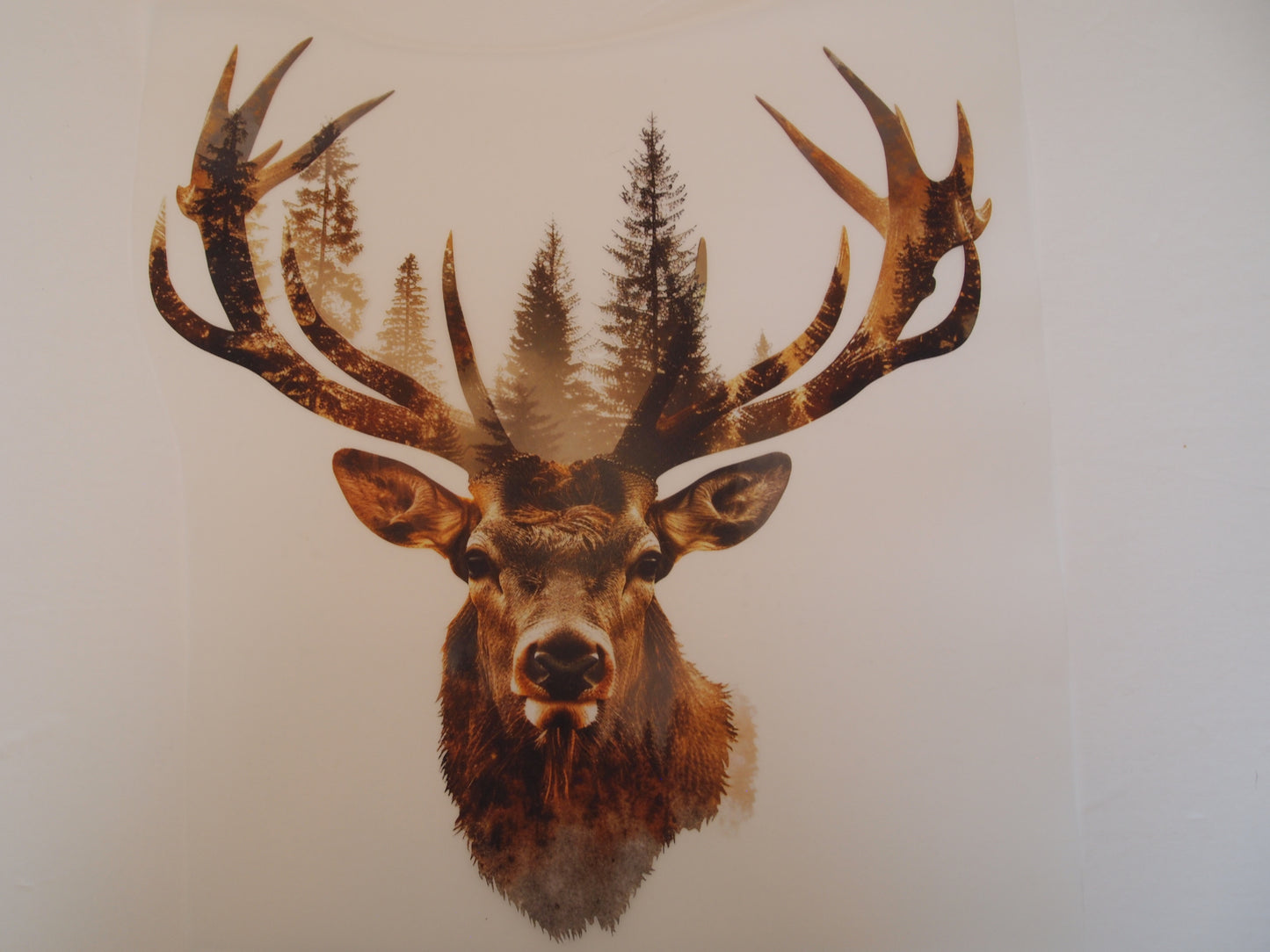 Design Transfer