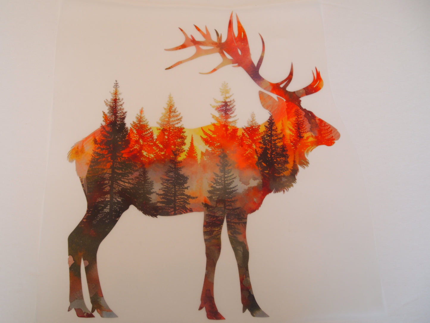 Design Transfer