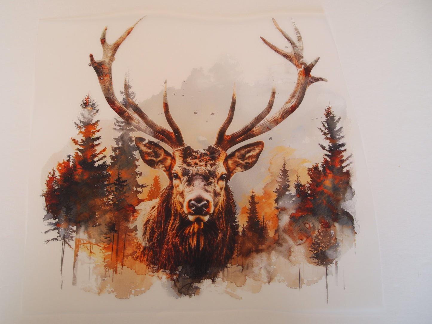 Design Transfer