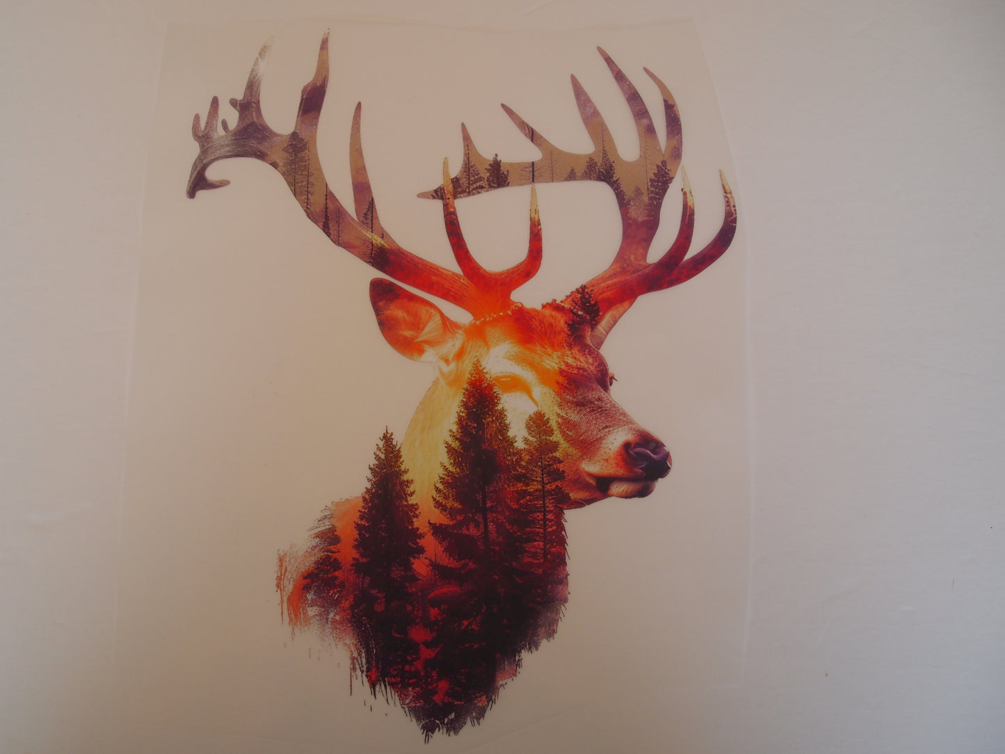 Design Transfer