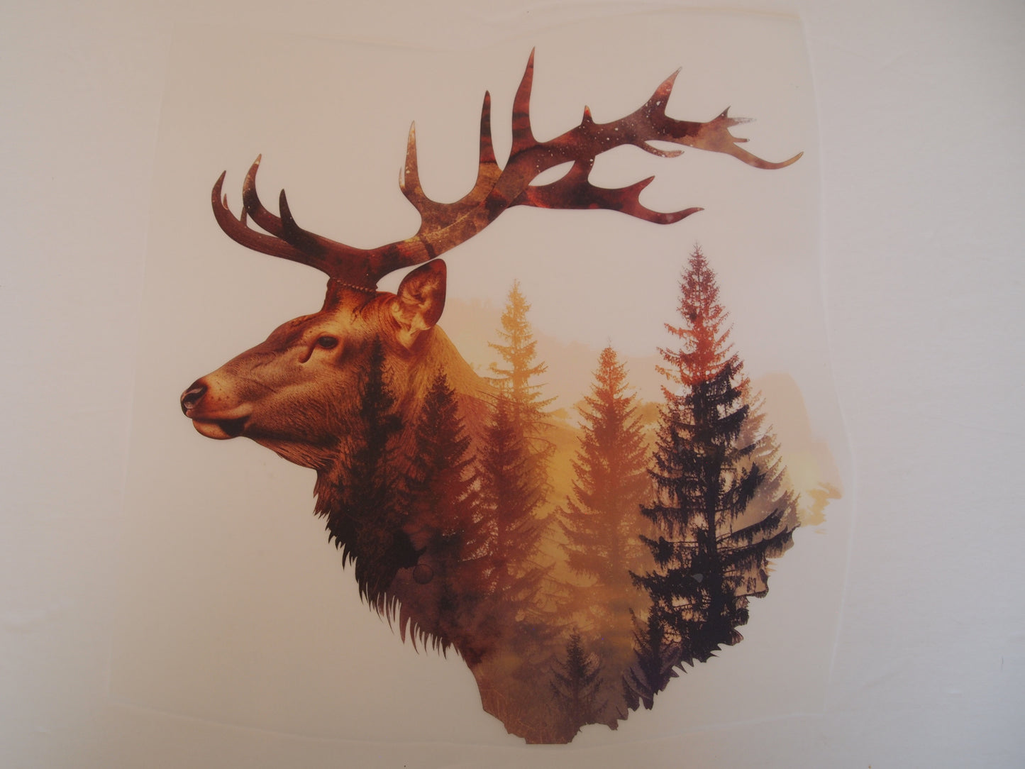 Design Transfer