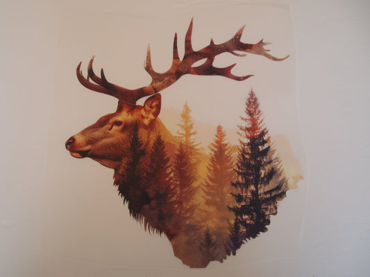 Design Transfer