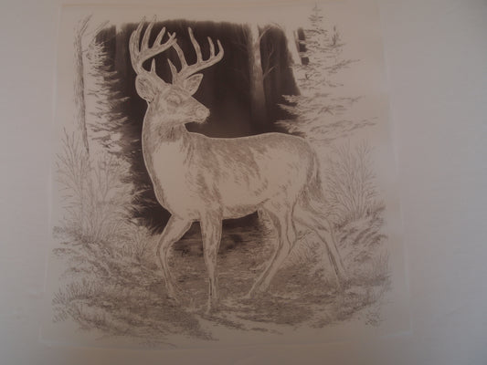 Black out deer